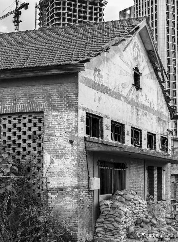 涅槃重生最新状况,涅槃重生怎样了