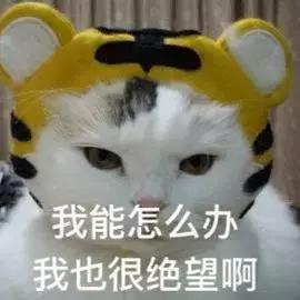 美白别花冤枉钱,与其盲目消费还不如理智消费