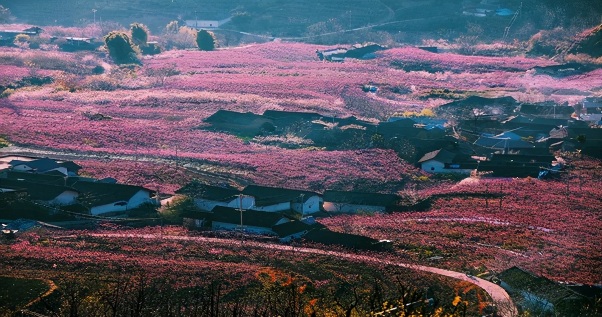 【攀枝花】米易县麻陇彝族乡“六抓六强”画出民族团结进步同心圆