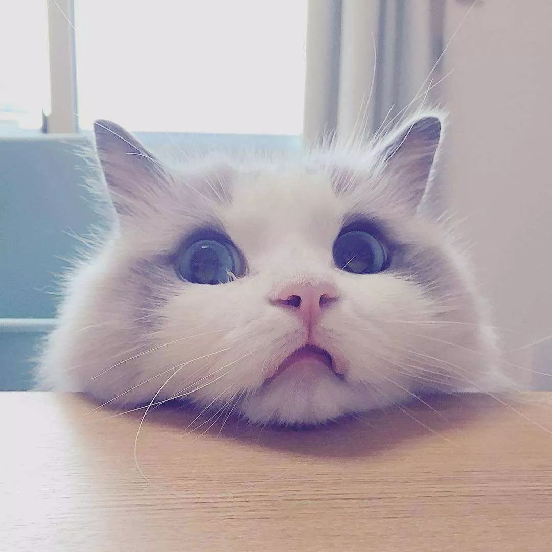 独特美味广元这些非遗美食来尝尝,来广元必吃的美食地方