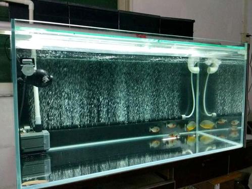 裸缸水质浑浊如何打造空气缸,鱼缸开缸水质怎么改善