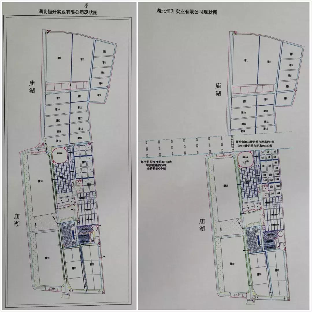 谁杀死了“大鱼”？——生死中华鲟