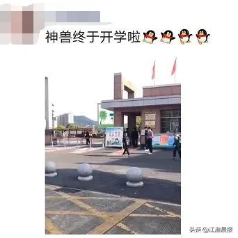 刚刚,合肥各校门口实拍!教育厅最新通知来了!