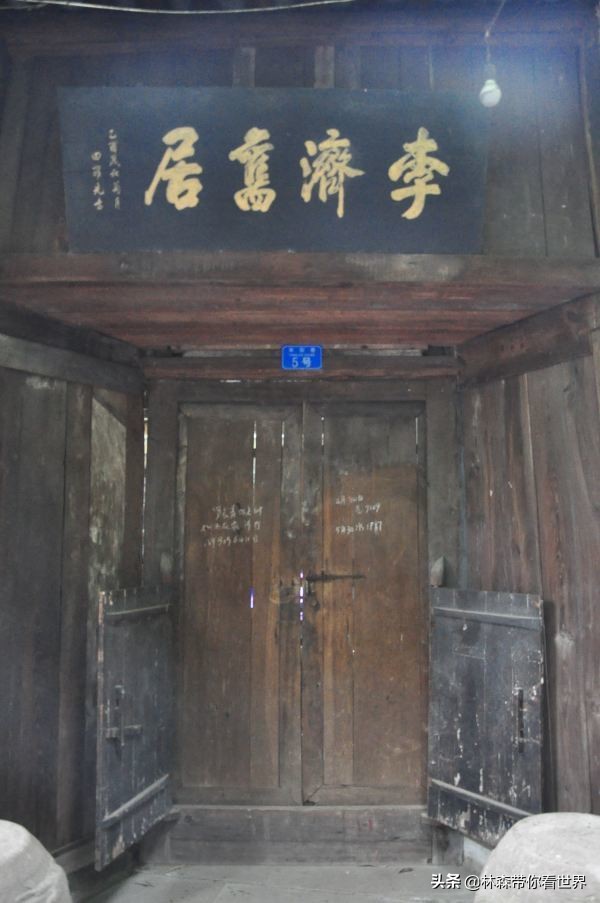 林森完整版免费观看,林森完整视频