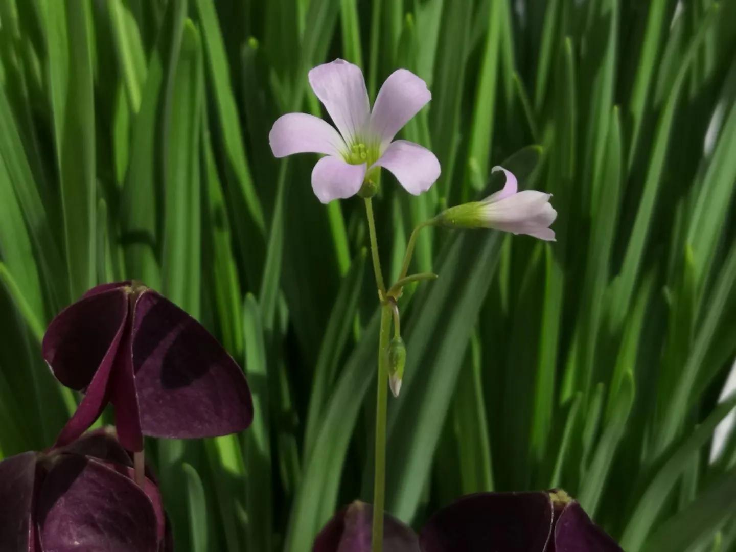 女性心理问题的解决方法,女性朋友心情很压抑怎么开导