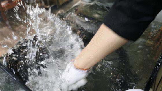 一条鱼卖出12000000份！这家人气鱼锅终于来合肥啦