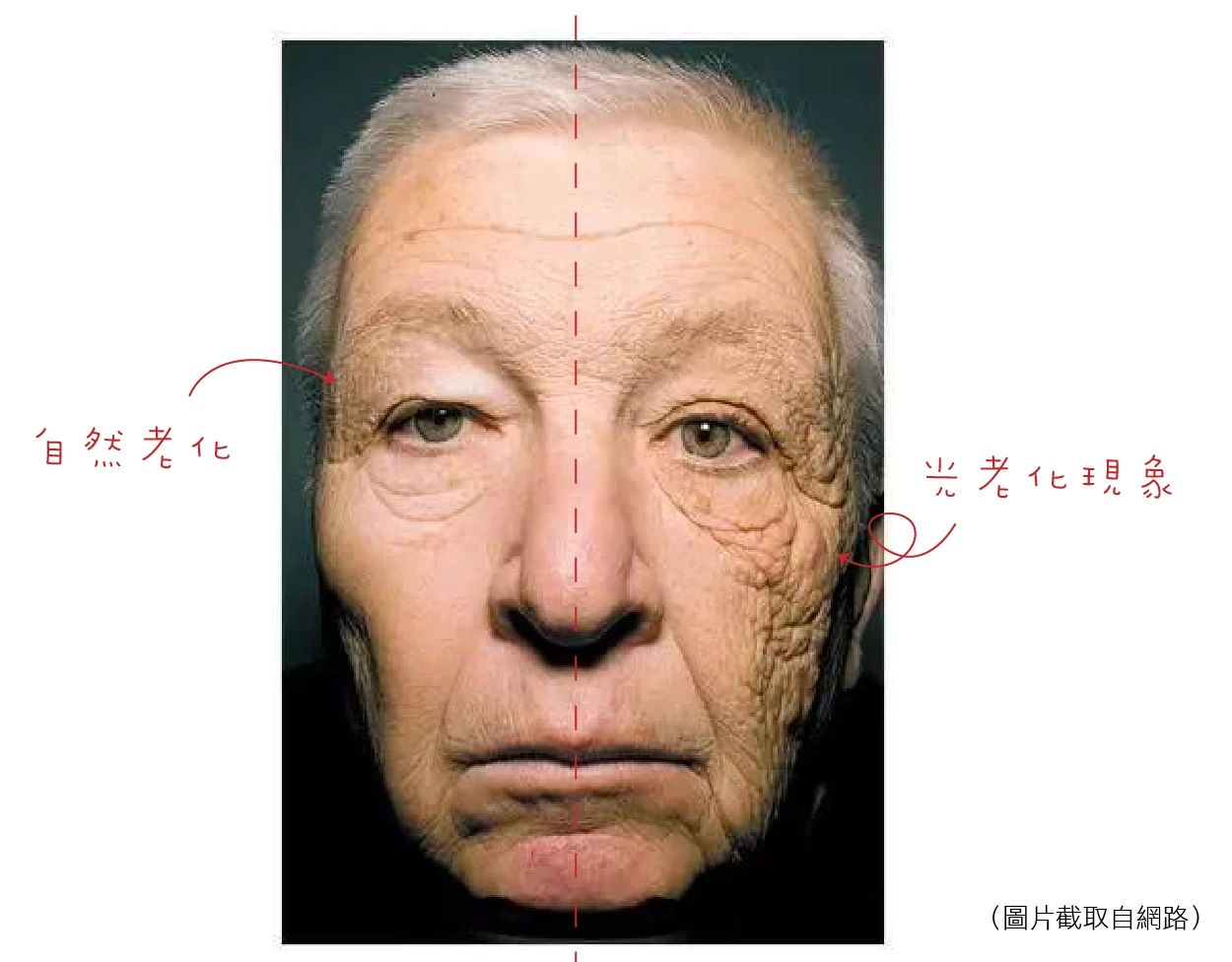 美白秘籍分享一下,美白须知纯干货