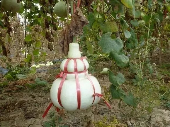 福禄与如意,福禄如意屏风