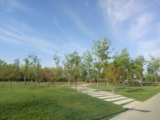 个体工商户怎么办理失业保险,个体工商户怎样才能交保险