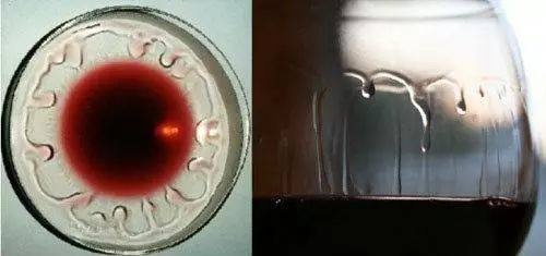 怎样学习红酒入门,红酒知识入门视频教程