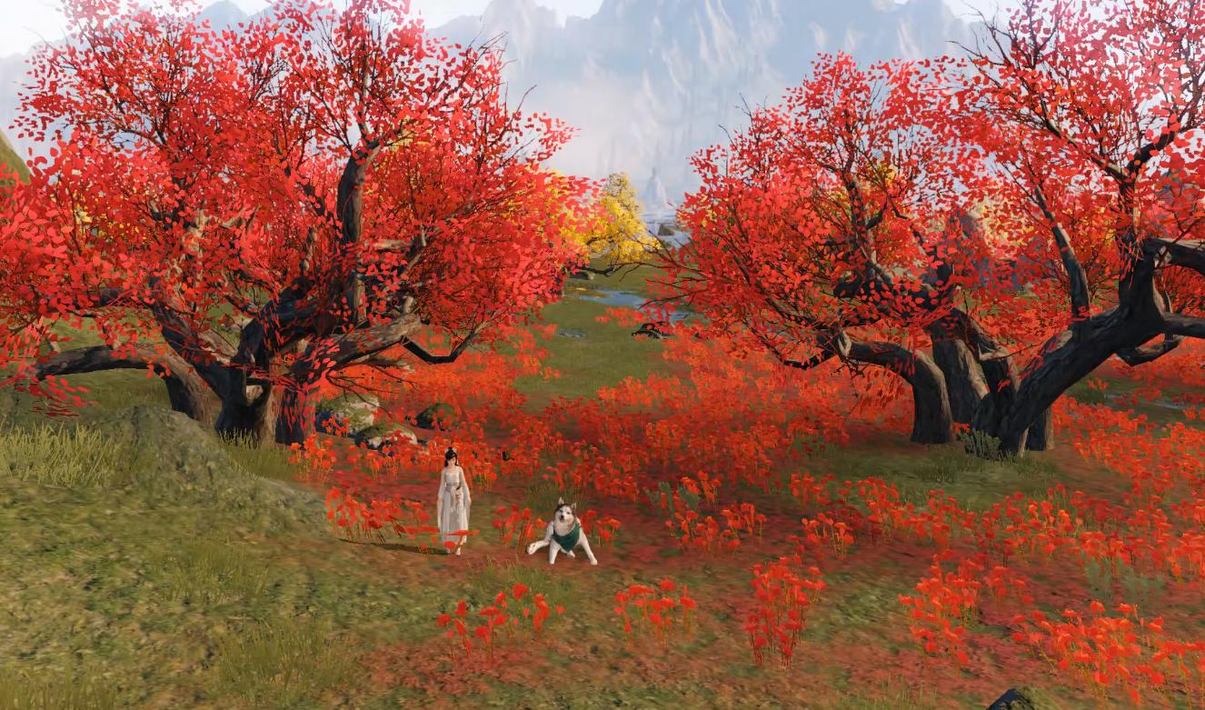 游山玩水散散心打卡网红地,天刀浪迹天涯