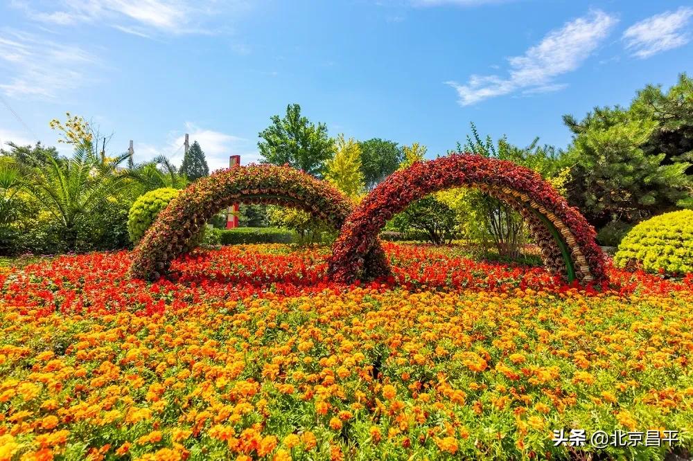 北京庆七一花坛摆放图片,北京长安街迎国庆立体花坛亮相