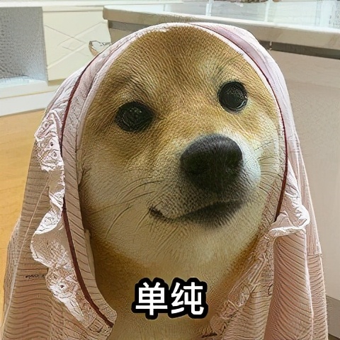 狗狗能感觉到孕妇怀孕了吗,狗狗能感受主人怀孕吗