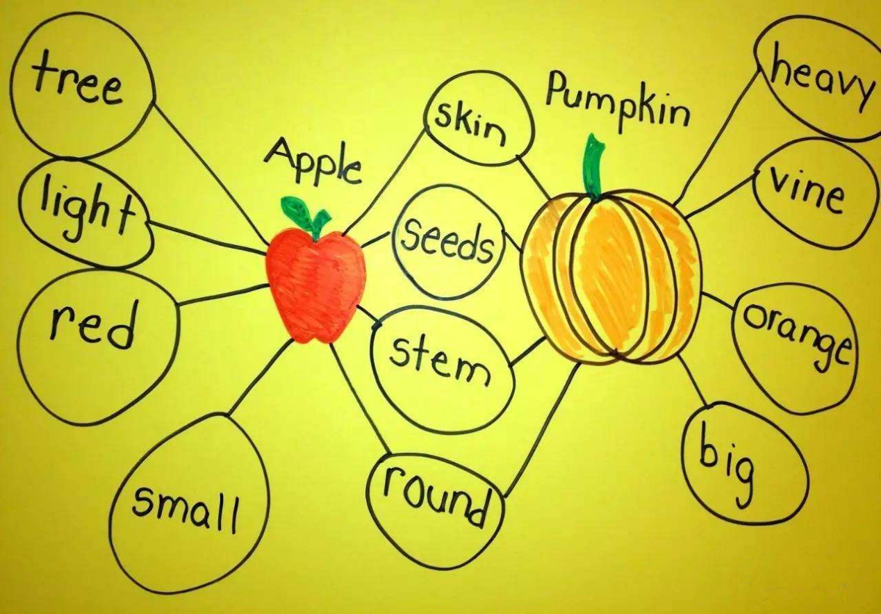 幼儿园思维导图入门教程,幼儿园的思维导图入门