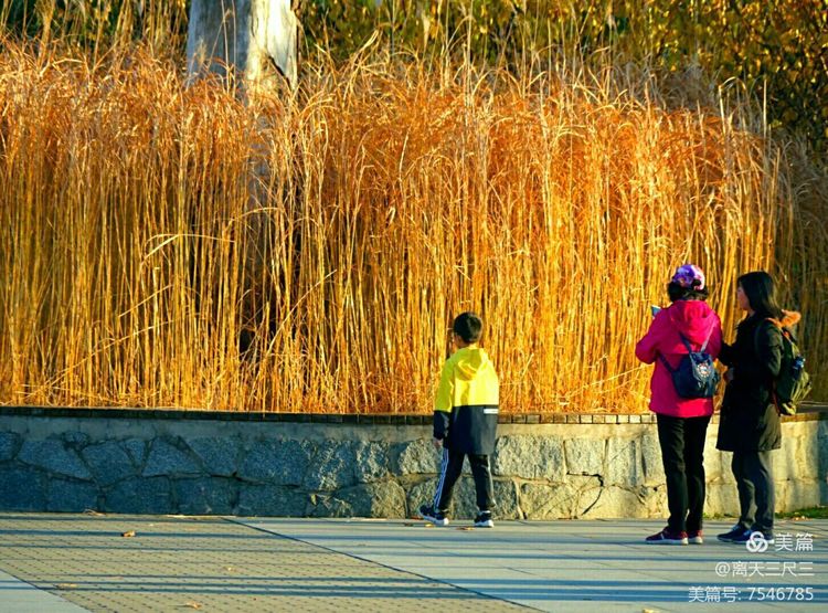 玉泉山北坞公园介绍,北坞村玉泉山