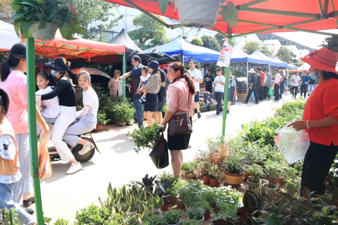 花木盆景活动,秋冬季花木节盆景展