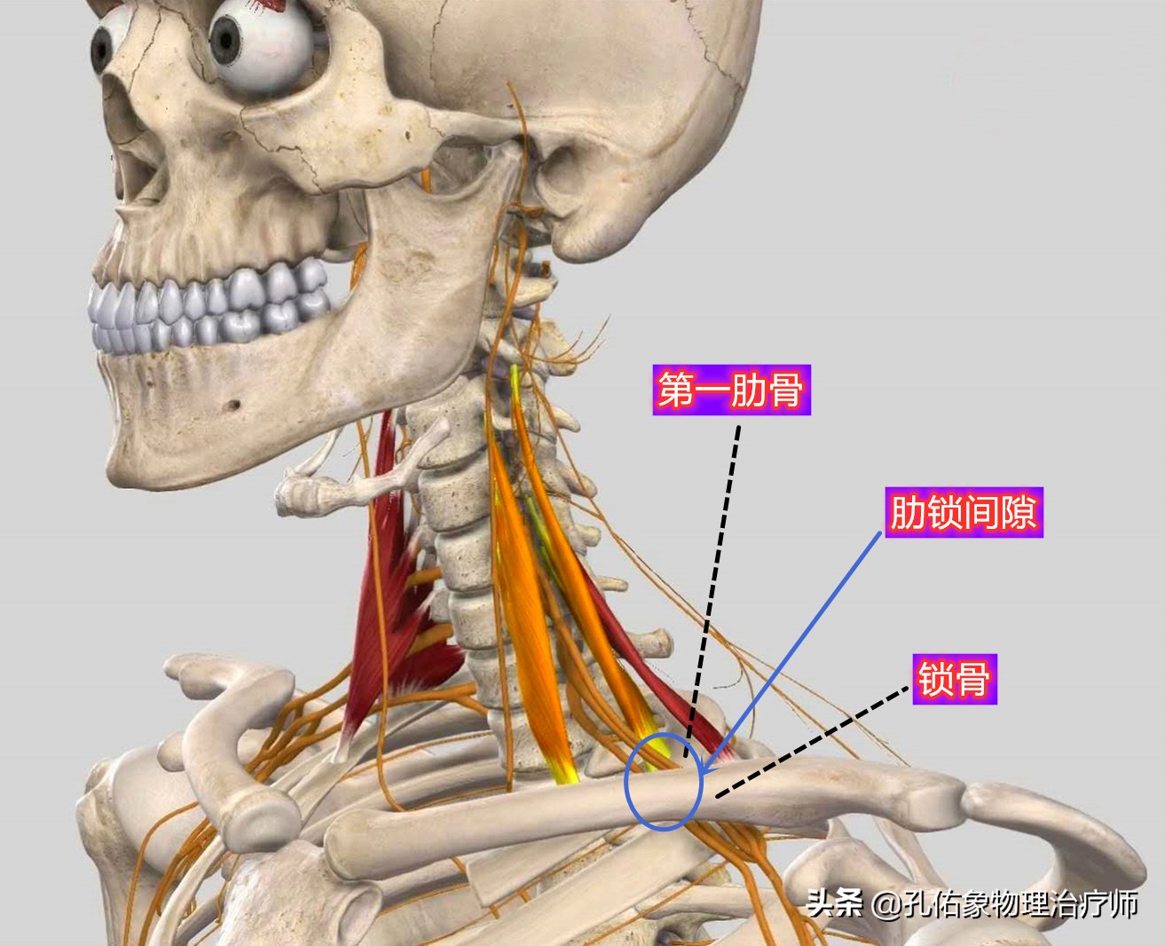 手指麻木是三大疾病前兆,手指麻木疼痛怎么治疗最好