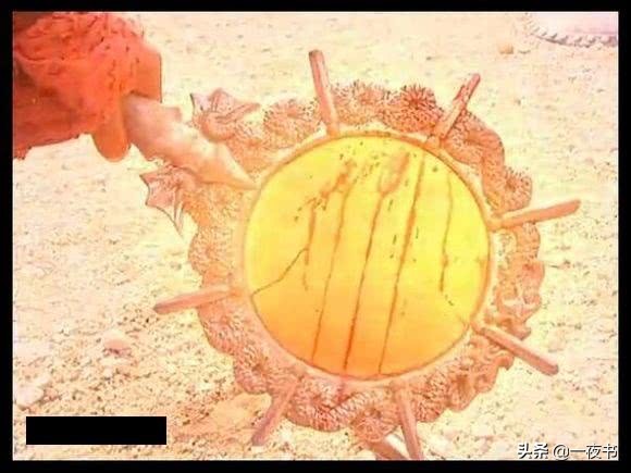 榄斿墤鐢熸妫嬪噷闇滃墤璧锋鍥炵敓,鍑岄湝榄斿墤鍜岄緳鍏冭皝鍘夊