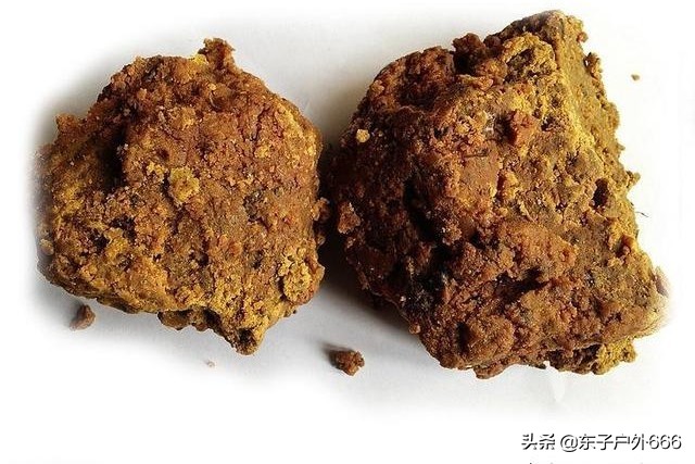 阿魏钓鱼真的有效吗,阿魏钓鱼真的那么神奇吗