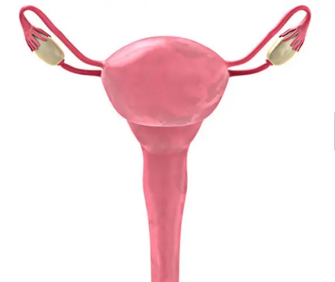 子宫不切有病变怎么办呢,子宫不锥切能行吗