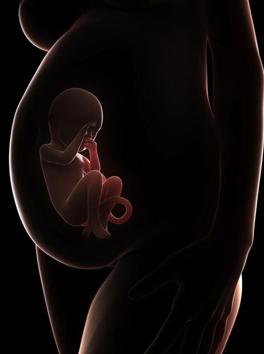 怀孕b超检查没有胎心怎么回事,为什么产检b超单不显示怀孕周数