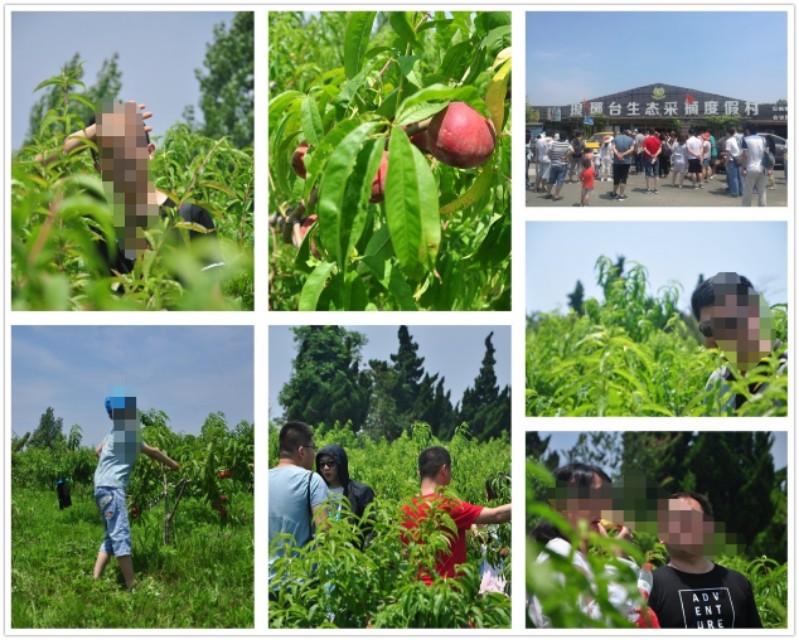 你问我要去向何方,我指着大海的方向--黄岛两日游记