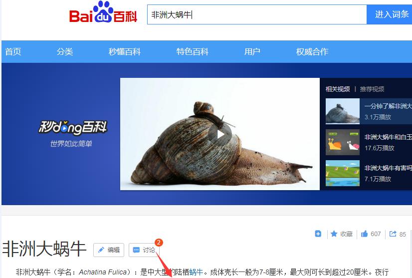 大波非洲大蜗牛袭击水电站，我方高地正被入侵！它们竟然吃水泥？