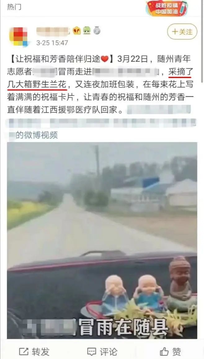 天价交易下历尽劫难的野生兰花，终于有了“护身符”