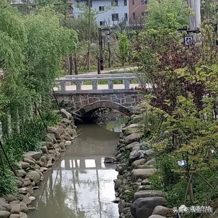 苏马荡谋道镇民宿,苏马荡南浦古镇民宿