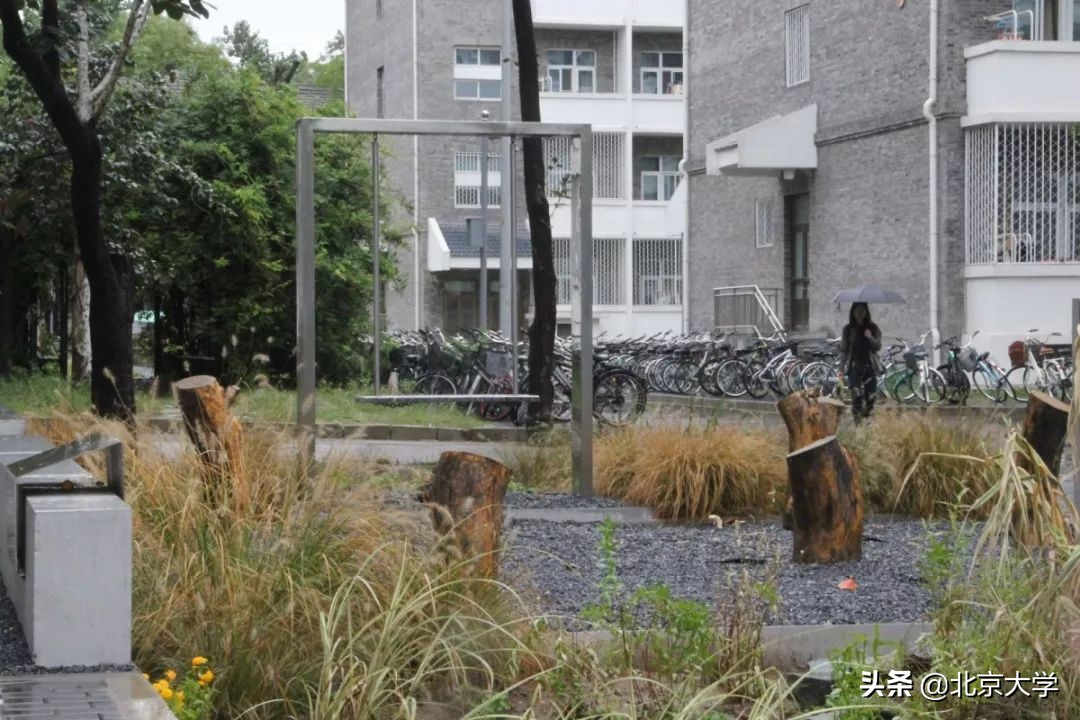 北大学校是怎么建的,感受一下北大校园