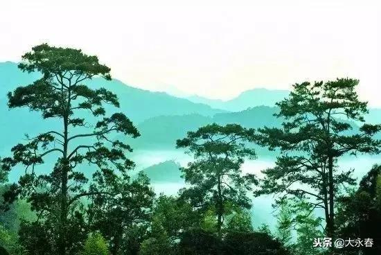 有一种生活叫永春啊,有一种生活叫永春