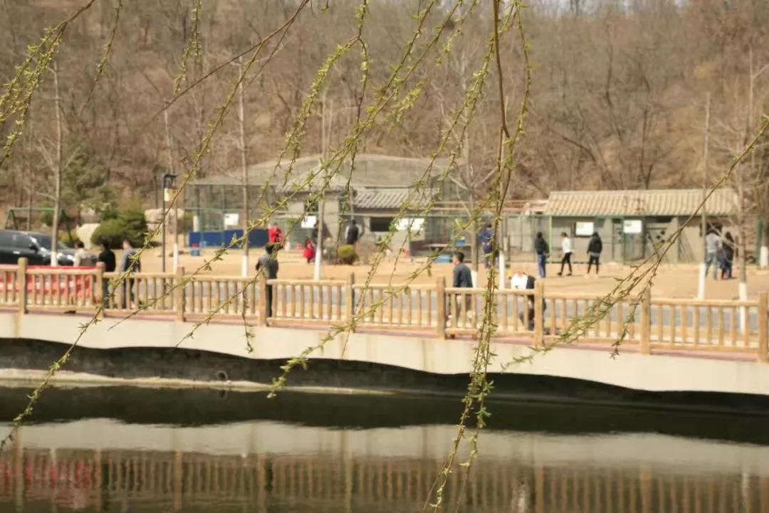 大连东泉温泉营业时间,大连石河氡泉温泉价目表