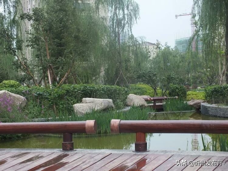 忻州国力花园二期在哪个位置,忻州国力花园五期和国力新城二期