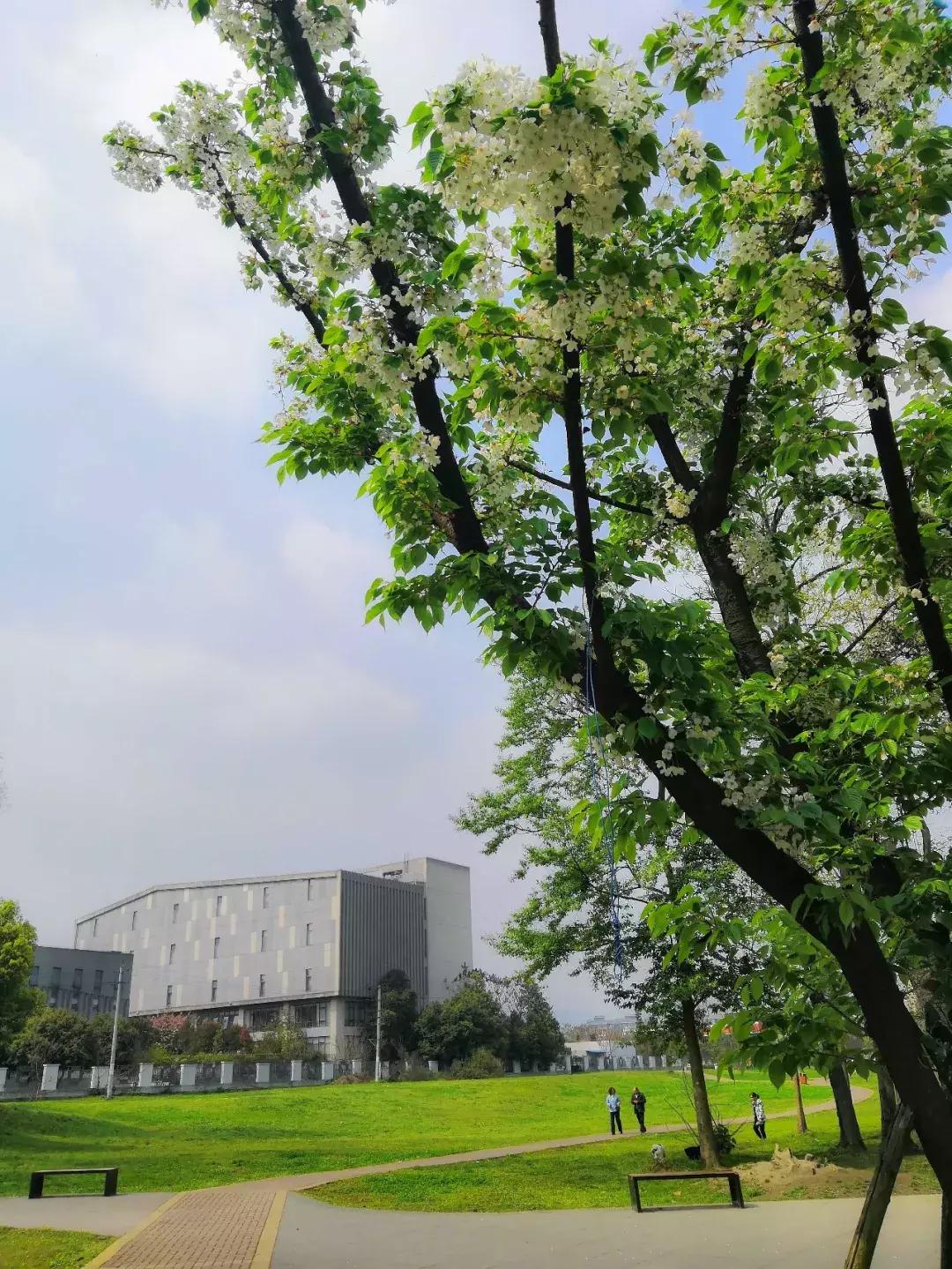 都江堰天府绿道骑行路线图,都江堰周边最美骑行路线