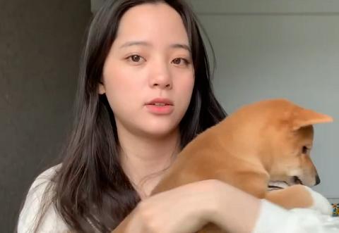 欧阳娜娜被抓,欧阳娜娜被蜜蜂蜇要去医院