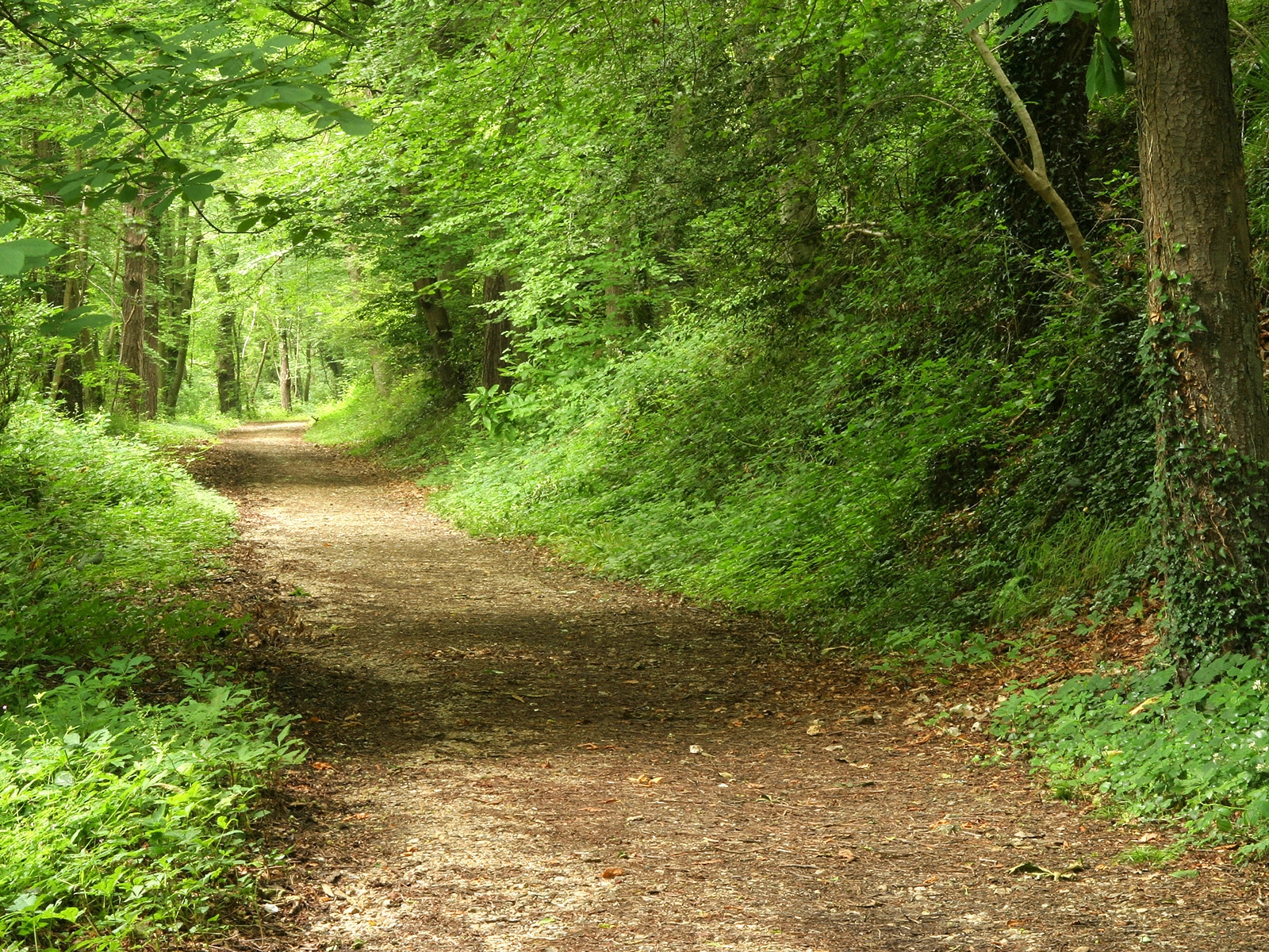 日本生育福利,日本的福利好在哪里