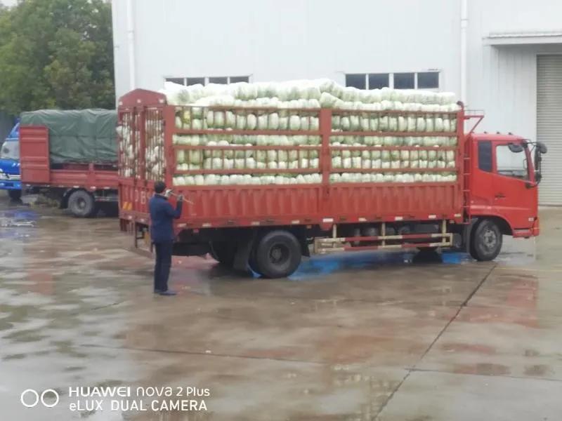 【战疫行动】黄州人，你下单代购的蔬果都是从哪里、怎么来的？——保供“战场”系列报道（四）