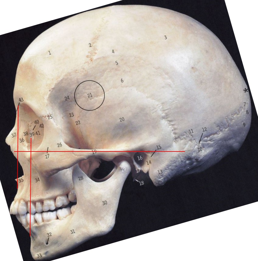 华晨宇的下巴,削下颌骨的华晨宇