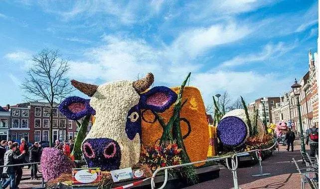 休闲农业的六种创意模式,今年最火爆的农业项目