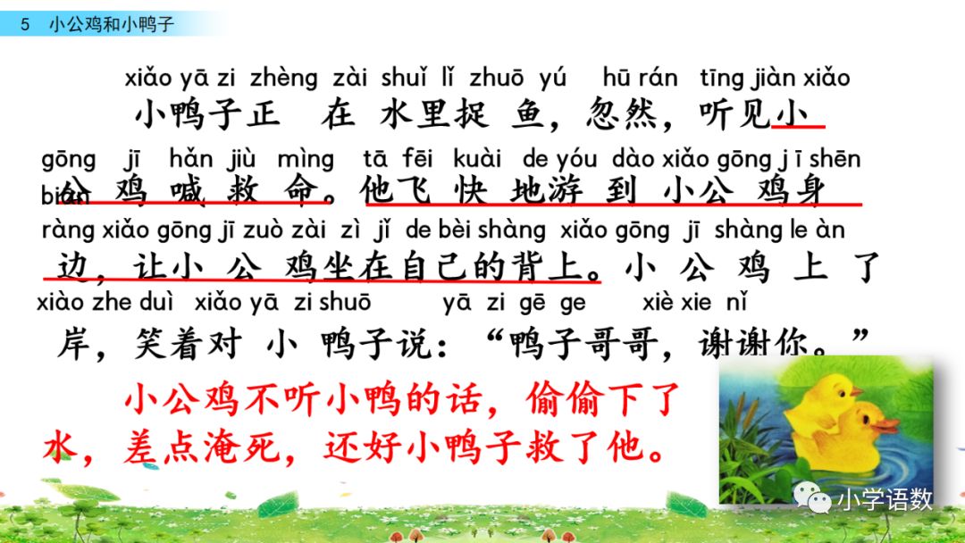 小公鸡和小鸭子一年级下册组词,一年级语文小公鸡和小鸭子复习