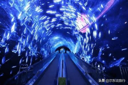 寒假亲子游最佳攻略,寒假国内亲子游攻略