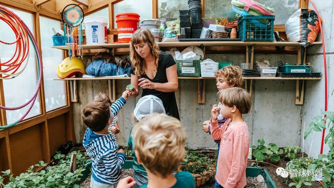 华德福瑞吉欧蒙氏,华德福蒙氏瑞吉欧的区别