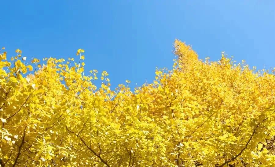 无聊时做这三件事你会越来越好,无聊时要做的十件事