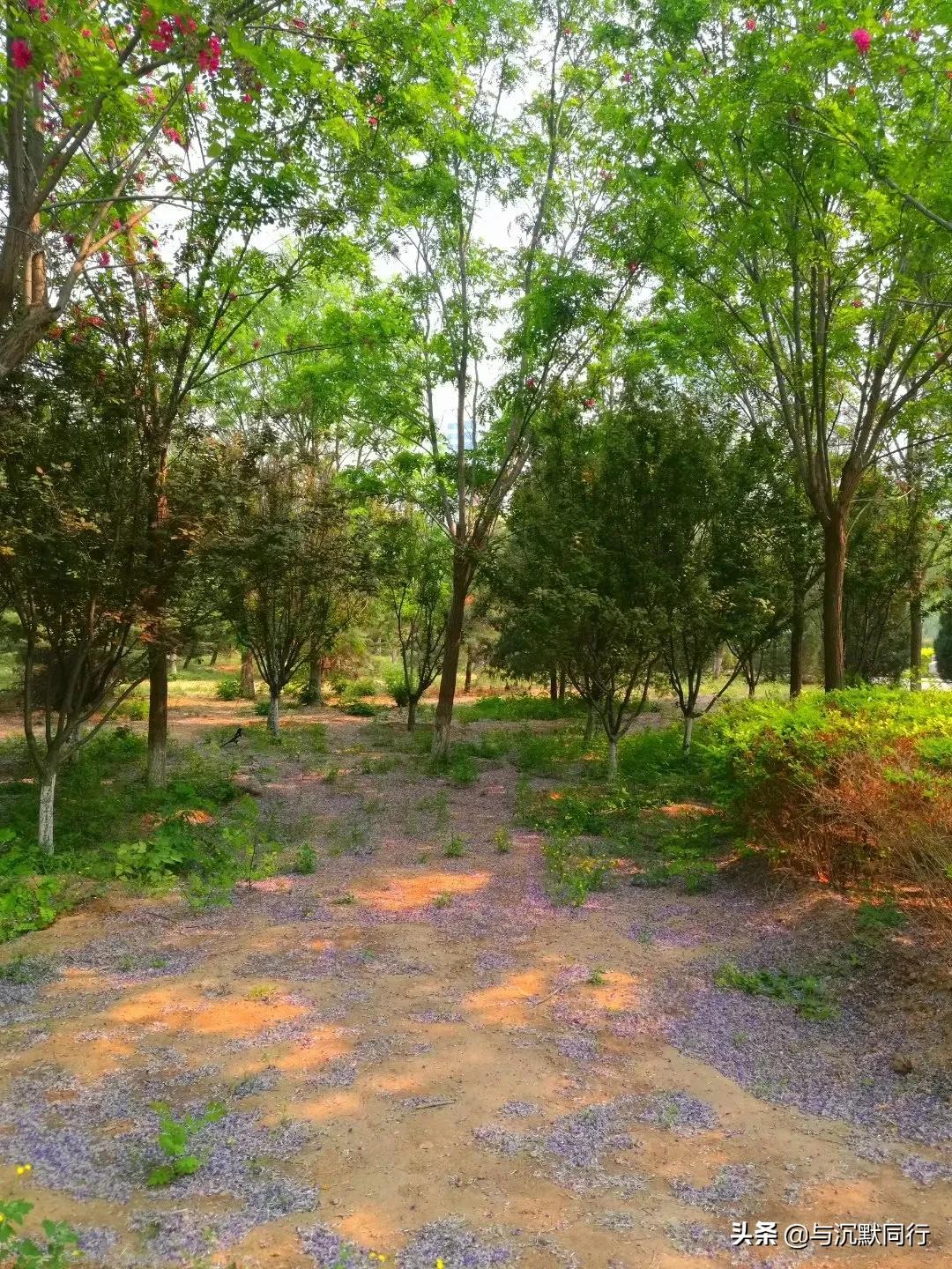 北京的天元公园是哪,北京天元公园视频