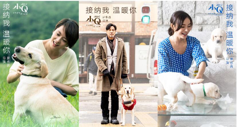 暖心类的电影能走多远？《小Q》上线，票房首日破千万发现新风向