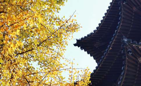 喊孩子好几声不搭理你是怎么回事,喊孩子学习不听怎么办