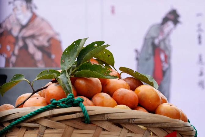 秋季杭州西溪湿地游玩攻略,杭州半日游西溪景区攻略