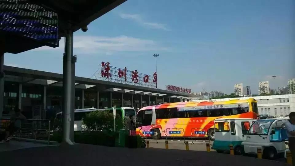 香港扫货旅游攻略,香港年货扫码攻略视频