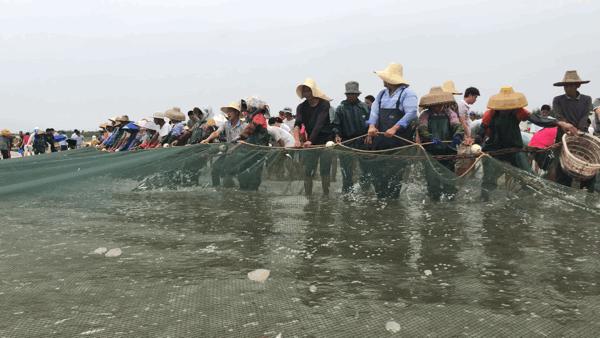吴阳拉大网后续,吴阳直播海鲜