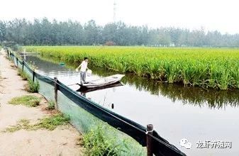 养殖小龙虾的市场前景如何,未来5年养殖小龙虾行情